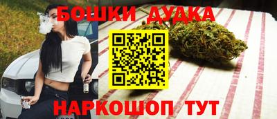 МДПВ Будённовск