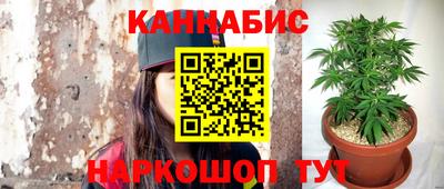 МДПВ Будённовск