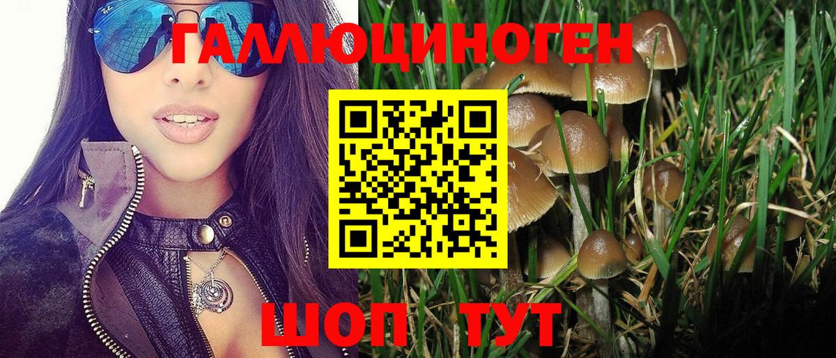 Тельмана  Псилоцибиновые грибы Psilocybe  Вход с VPN  Псилоцибиновые грибы мицелий 