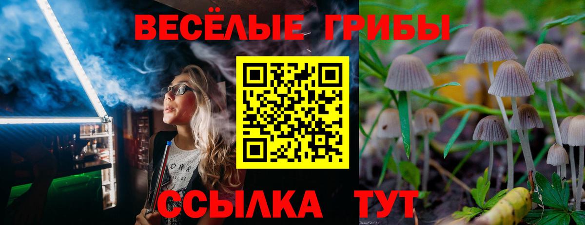 Псилоцибиновые грибы мицелий Тельмана